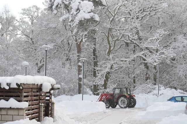 Do you remember the snow?