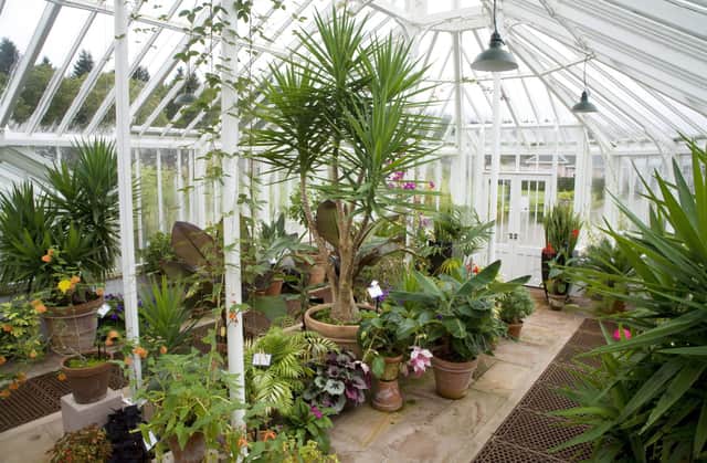 The glasshouses' interior hosts an array of beautiful flora. Picture: