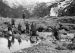 Tom Miers: Death of military tradition