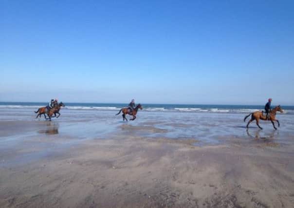 Horses, but no chariots on St Andrews West Sands. Picture: Ken Miller