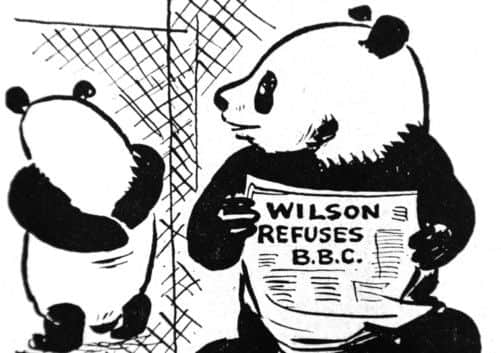 One of the Scotsman's panda cartoons from 1966. Picture: TSPL