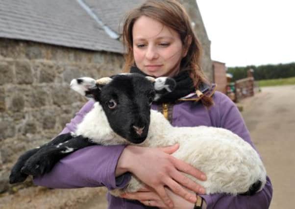 Vikky McDonald of Willows Animal Sanctuary with River, the blackface lamb at the centre of the custody battle. Picture: Duncan Brown