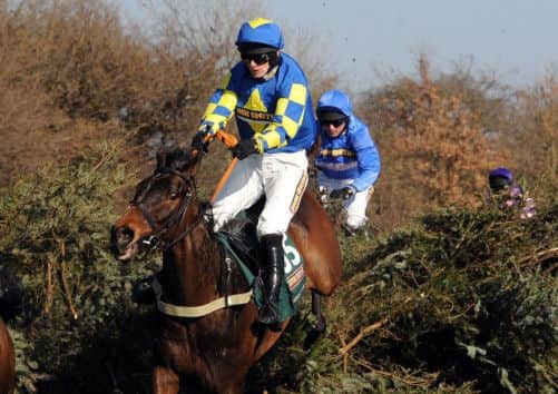 Auroras Encore, with Scots jockey Ryan Mania on board, roars to National glory. Picture: PA
