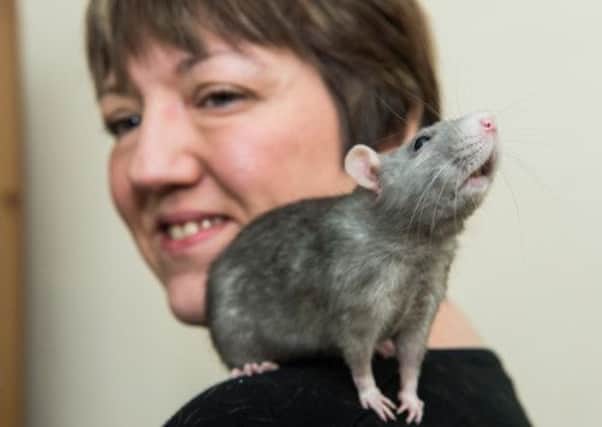 Shelley Bruce is the proud owner of four rats, including British blue Skye. Picture: Ian Georgeson