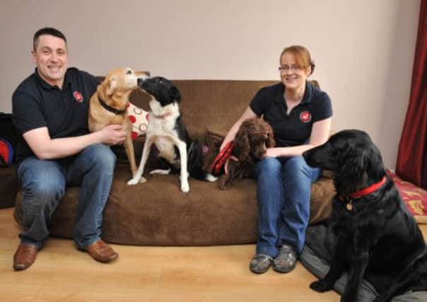 Nadine Kay of Carefree Canines at home with her husband Stuart and their dogs. Picture: Joey Kelly