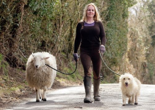 Meet the sheep convinced that it's a dog 