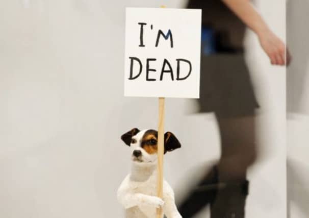One of Shrigley's works. Picture: Complimentary