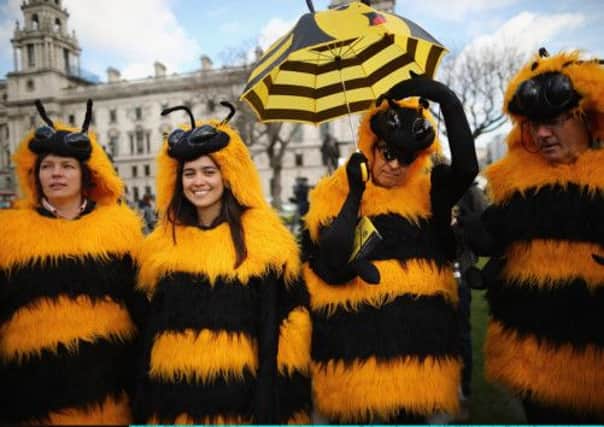 Campaigners dressed as bees gather in London. Picture: Getty