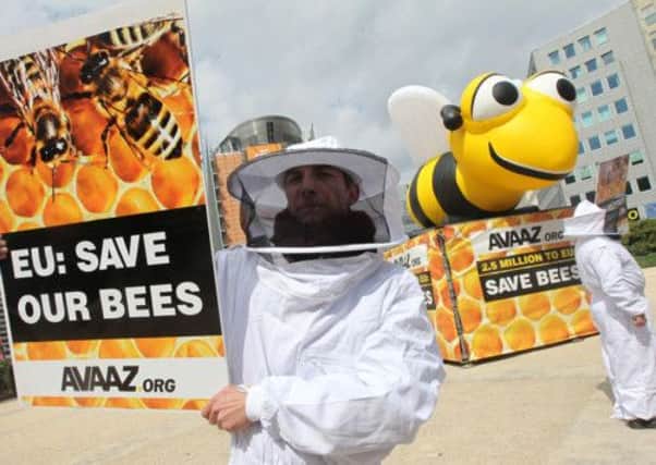 Beekeepers protest outside the European Commission in Brussels today. Picture: AP