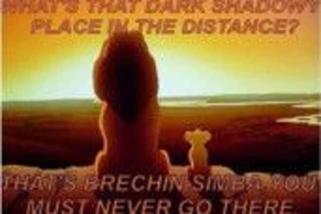 An spoof Lion King image that makes fun of Brechin has concerned town councillors. Picture: Contributed