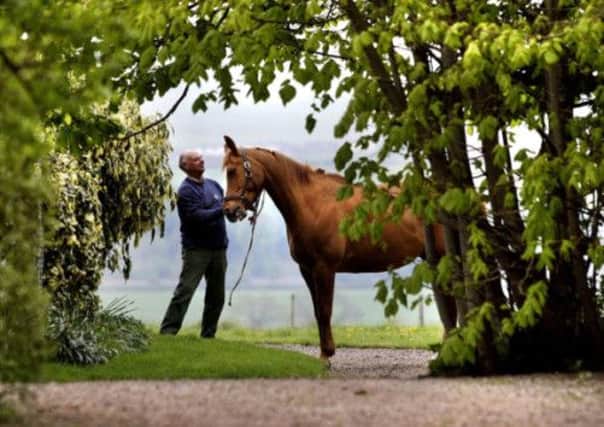 Kelso based Horse Whisperer, Peter Neilson primes his Hanovarian Jack for the Borders Festival of the Horse. Picture: Contributed