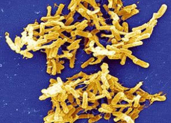 The deaths were caused by a new strain of Clostridium Difficule, or C-Diff. Picture: Submitted