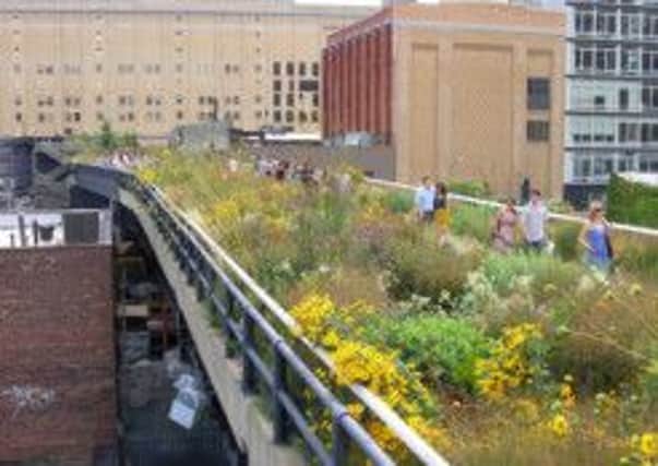 City break: The High Line brings the countryside to the heart of New York