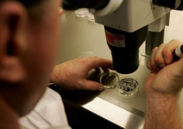 Key discovery: Stem cells. Picture: Getty