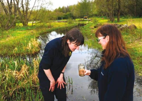 Fiona Greenlees and Jackie Clark look for tadpoles in Festival Park. Picture: Robert Perry