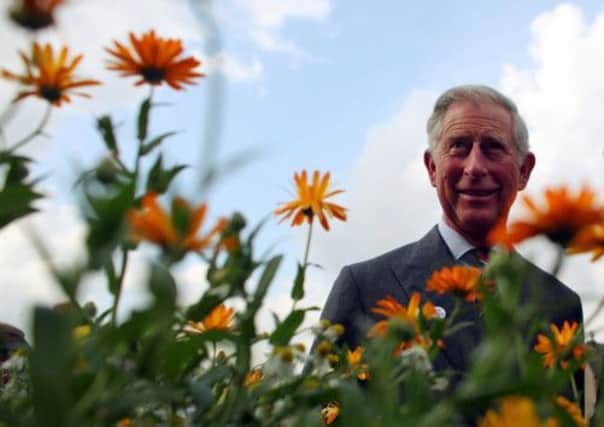 Prince Charles attracted ridicule in 1986 when he said he believed plants responded to gardeners talking to them. Picture: Getty