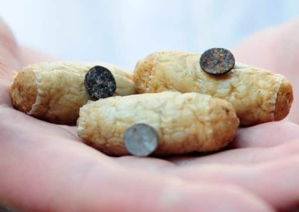 Cocktail sausages spiked with nails were eaten by Meggie the Bernese dog, who required emergency surgery after the incident. Picture: Hemedia