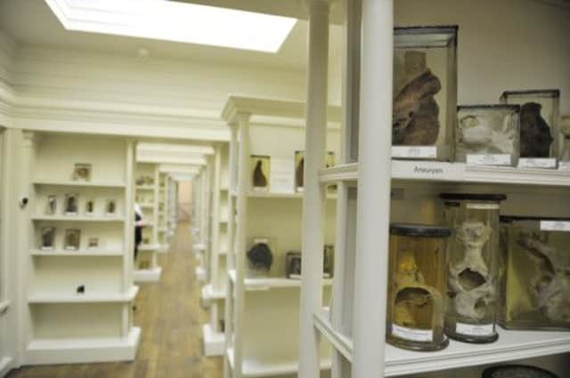 Preserved exhibits in Edinburgh's Surgeon's Hall Museum. Picture: Dan Phillips