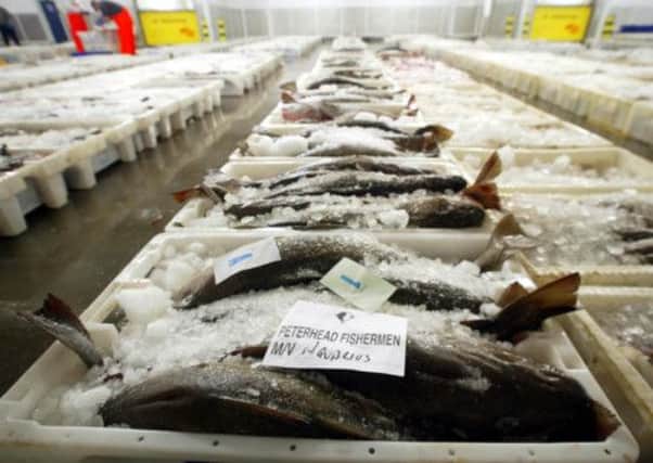 The Scottish Fishermen's Federation has warned of a crisis among its fleets. Picture: AP