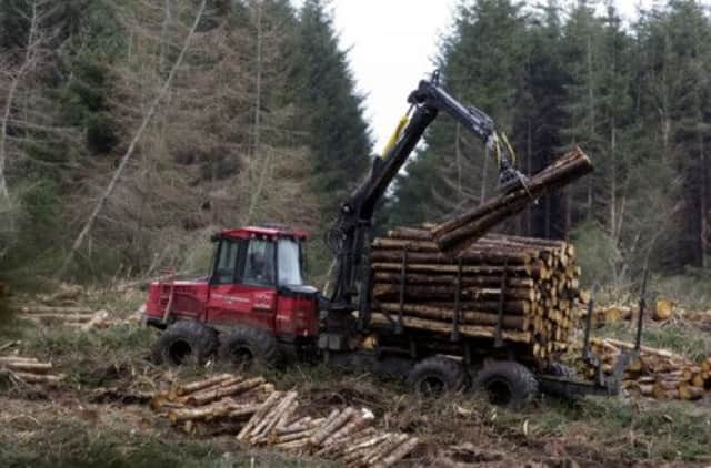 Forestry is funded out of the same SRDP pot of money. Picture: Neil Hanna