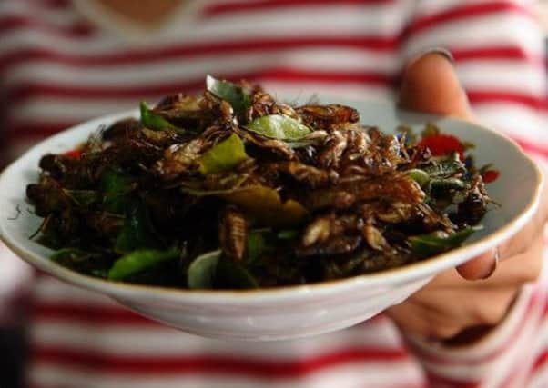 In many Asian countries, insects such as crickets are a common food source. Picture: Getty