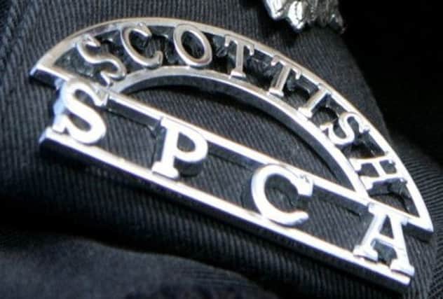 The Scottish SPCA are appealing for information after the 'barbaric' attack. Picture: SSPCA