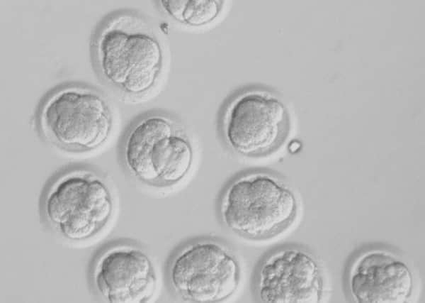 IVF will be further limited under the new plans. Picture: AP
