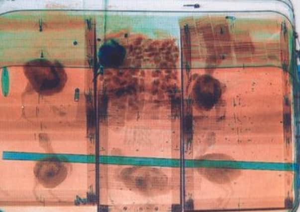 The x-ray which alerted Leeds Bradford Airport staff to the birds. Picture: PA