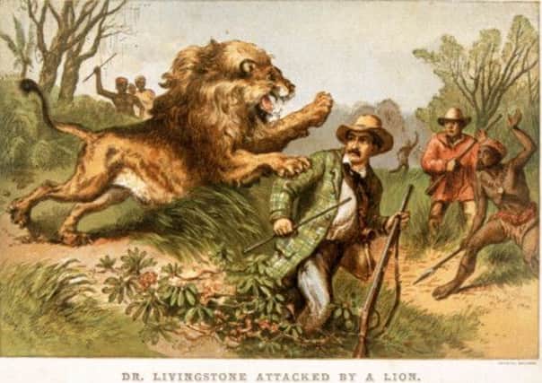 A Victorian painting shows Dr David Livingstone being attacked by a lion  an incident that happened in 1844. Picture: Getty