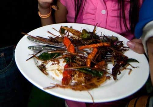 A dish at an insect cuisine competition in Laos. Picture: AP