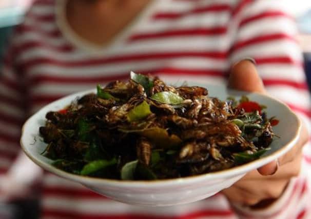 A plate of fried crickets at a local market in Vientiane. Picture: Getty
