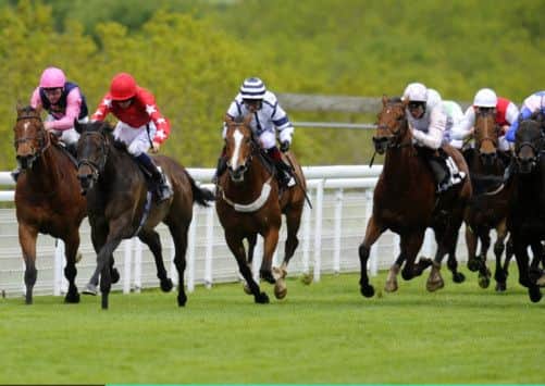 Willy TwistonDavies, riding Sir Alex Ferguson's Magic City, second left, won the Reheat Stakes at Goodwood. Picture: Getty