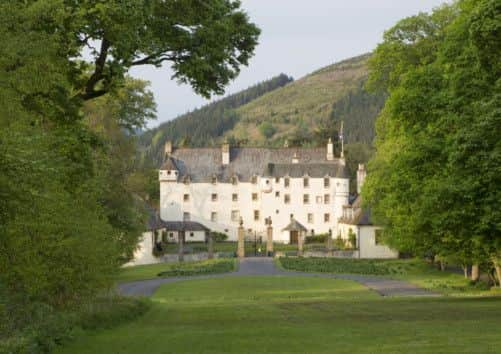 Traquair House - Avenue of broadleaf trees leading to house