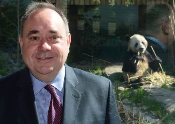 Alex Salmond visited Edinburgh Zoo today. Picture: Neil Hanna