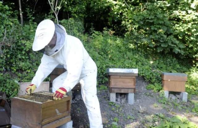 A beekeeper with one of his hives. A survey found 79 per cent of beekeepers lost one or more colonies last year. Picture: Dan Phillips