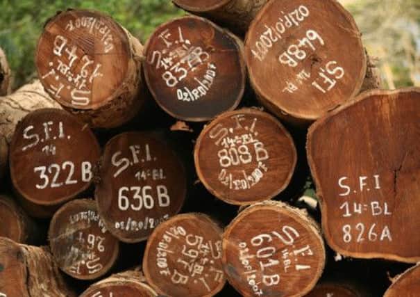Timber is among the commodities investors are warned over. Picture: Getty