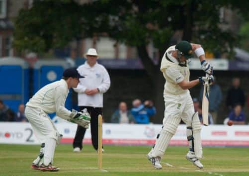 Brad Haddin plays a shot. Picture: Joey Kelly