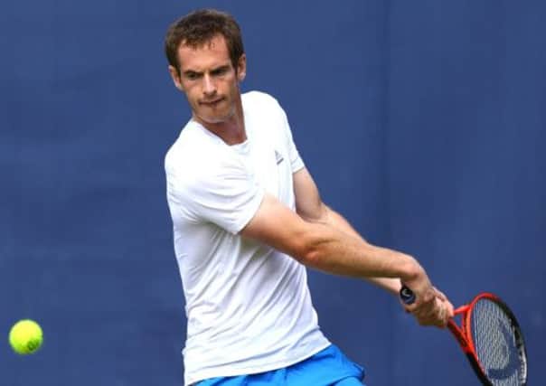Andy Murray: Recovered from injury. Picture: Getty