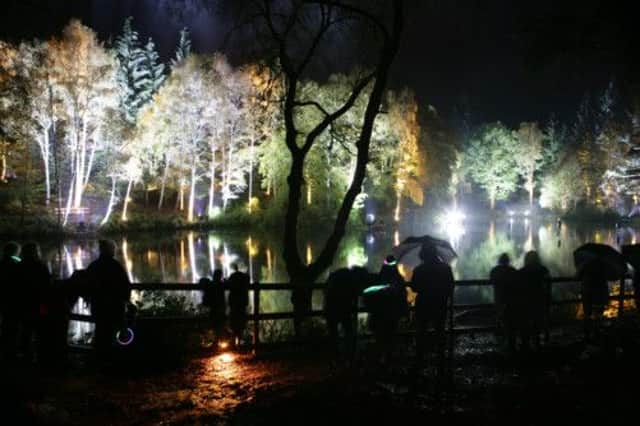 The Enchanted Forest at Faskally Wood. Picture: Toby Williams