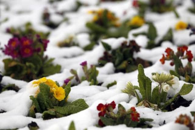 The UK saw the coldest spring in more than 50 years. Picture: PA