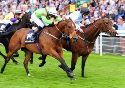 Kingsgate Choice, ridden by Liam Keniry, far side. wins the Musselburgh Sprint Cup from Racy. Picture: Ian Rutherford