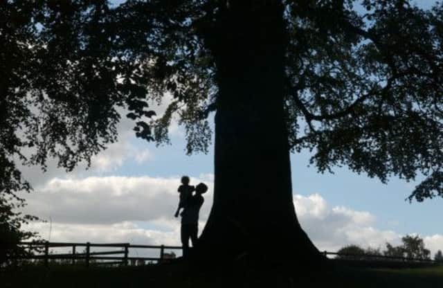 Memories come from doing things like climbing trees and generally having fun outdoors, say Charlie and Caroline. Picture: Jon Savage