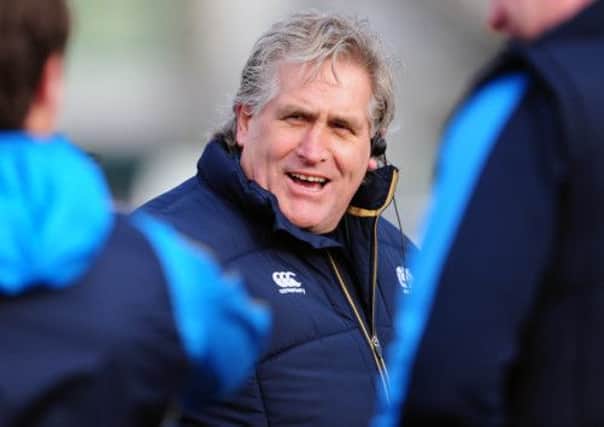 Great Scott: Johnson looks ahead to Scotland's next Test match. Picture: Ian Rutherford