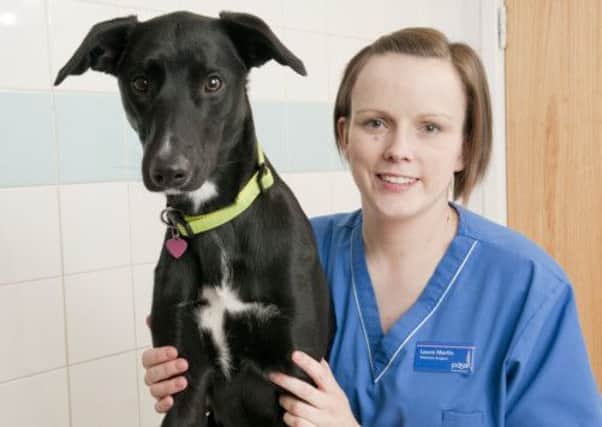 One-year-old Millie pictured with vet Laura Martin. Picture: PDSA