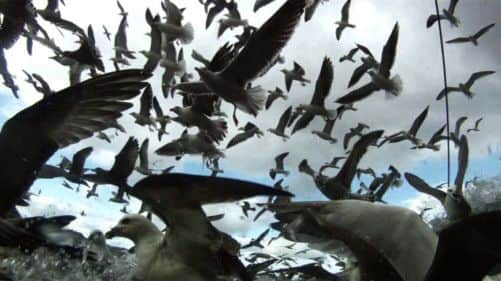 The award-winning Leviathan. Picture: Edinburgh International Film Festival