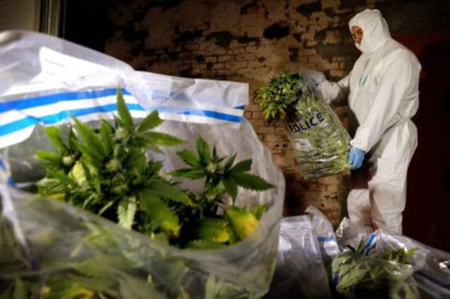 A report has claimed victims have been forced to farm cannabis. Picture: PA