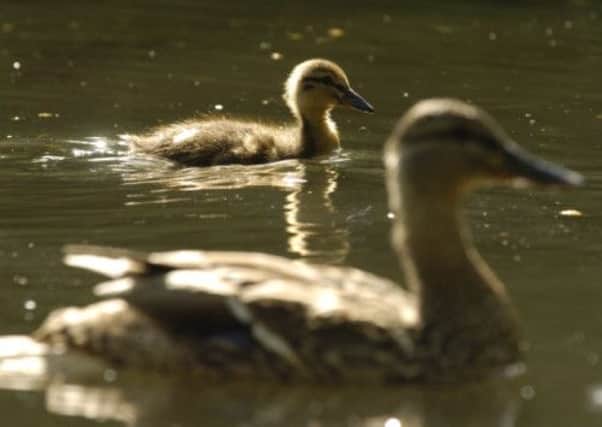 Humans may evolve to have beaks, say scientists. Picture: TSPL