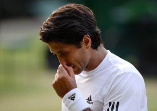 Verdasco's battling performance won him plaudits. Picture: Getty
