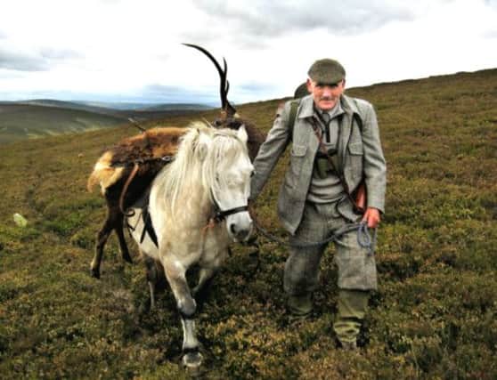 Fred Taylor carries a stag away from the shoot with the help of Cassie, one of many hill ponies he trained for stalking. Picture: Contributed