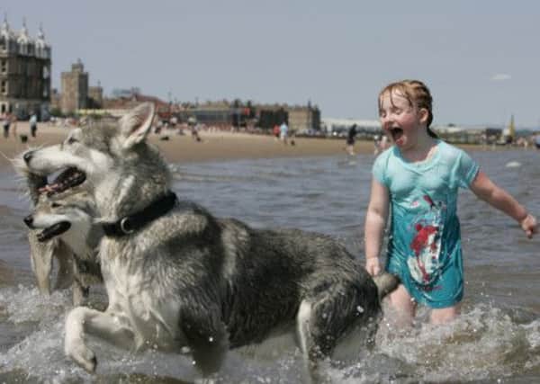 Mia Widd and River the Northern Inuit dog cool off in the sea at Portobello beach in Edinburgh yesterday. Picture Toby Williams